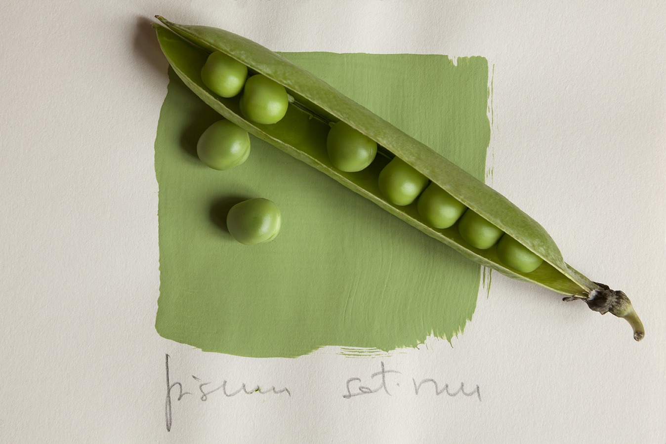 Immagine di piselli su tinta verde